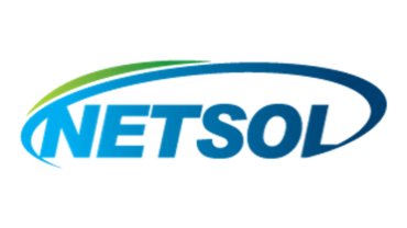 Netsol Co. Logo