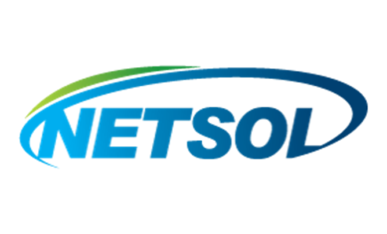 Netsol Co. Logo