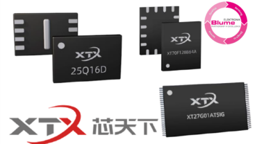 Flash Speicher von XTX