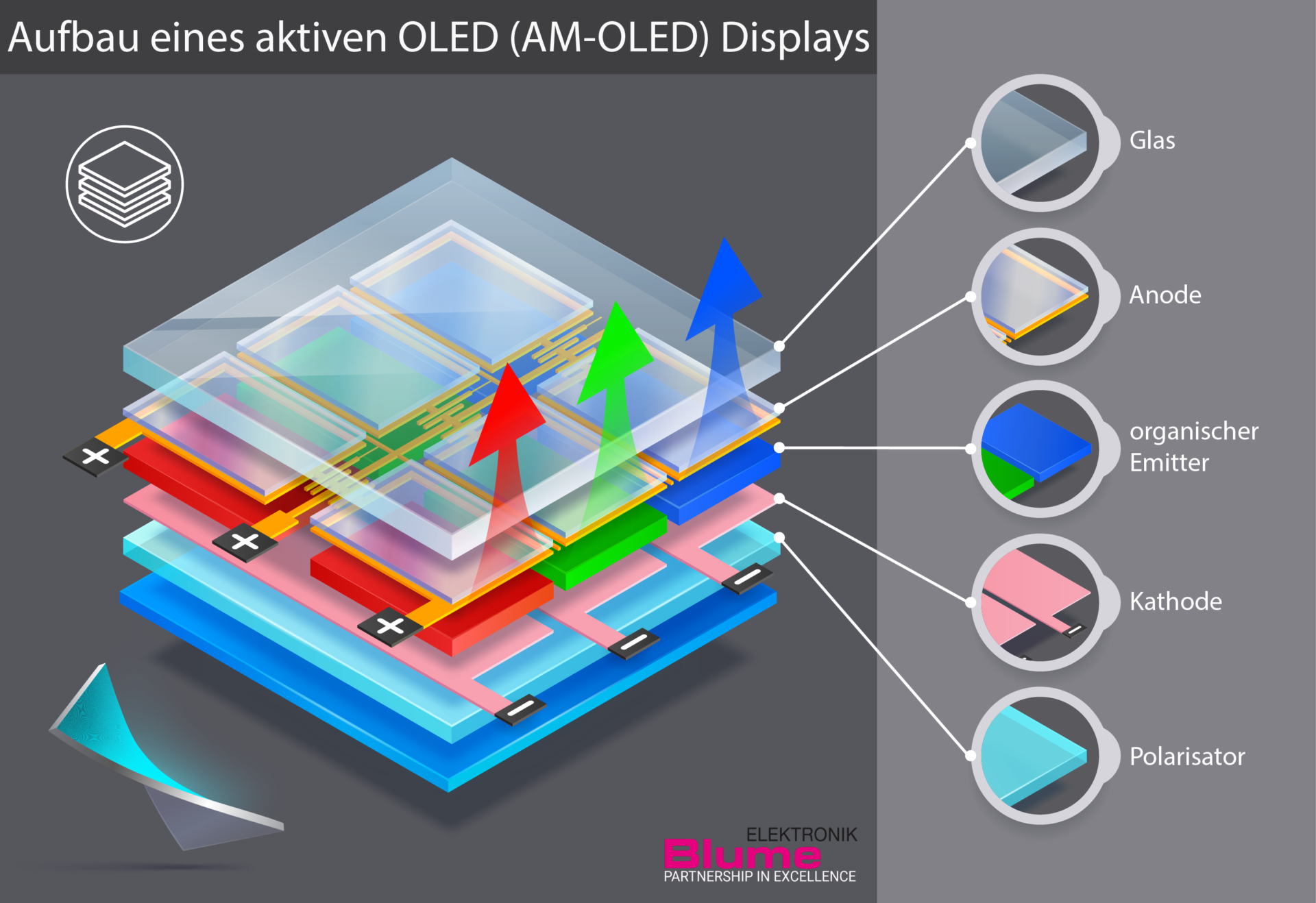 Aufbau eines aktiven OLED (AM-OLED) Displays