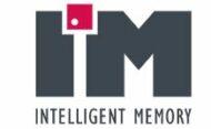 Intelligent Memory Logo